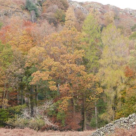 Beech Ulverston Exterior foto