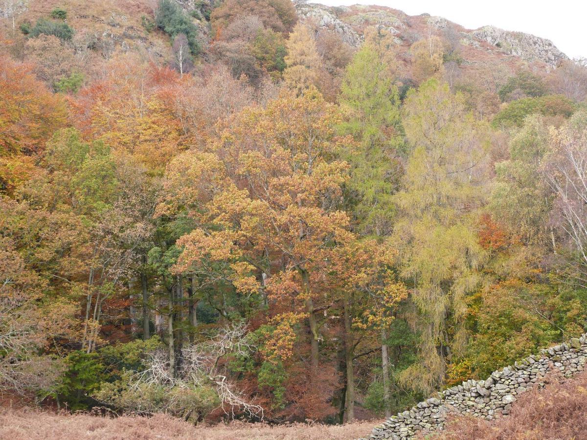 Beech Ulverston Exterior foto